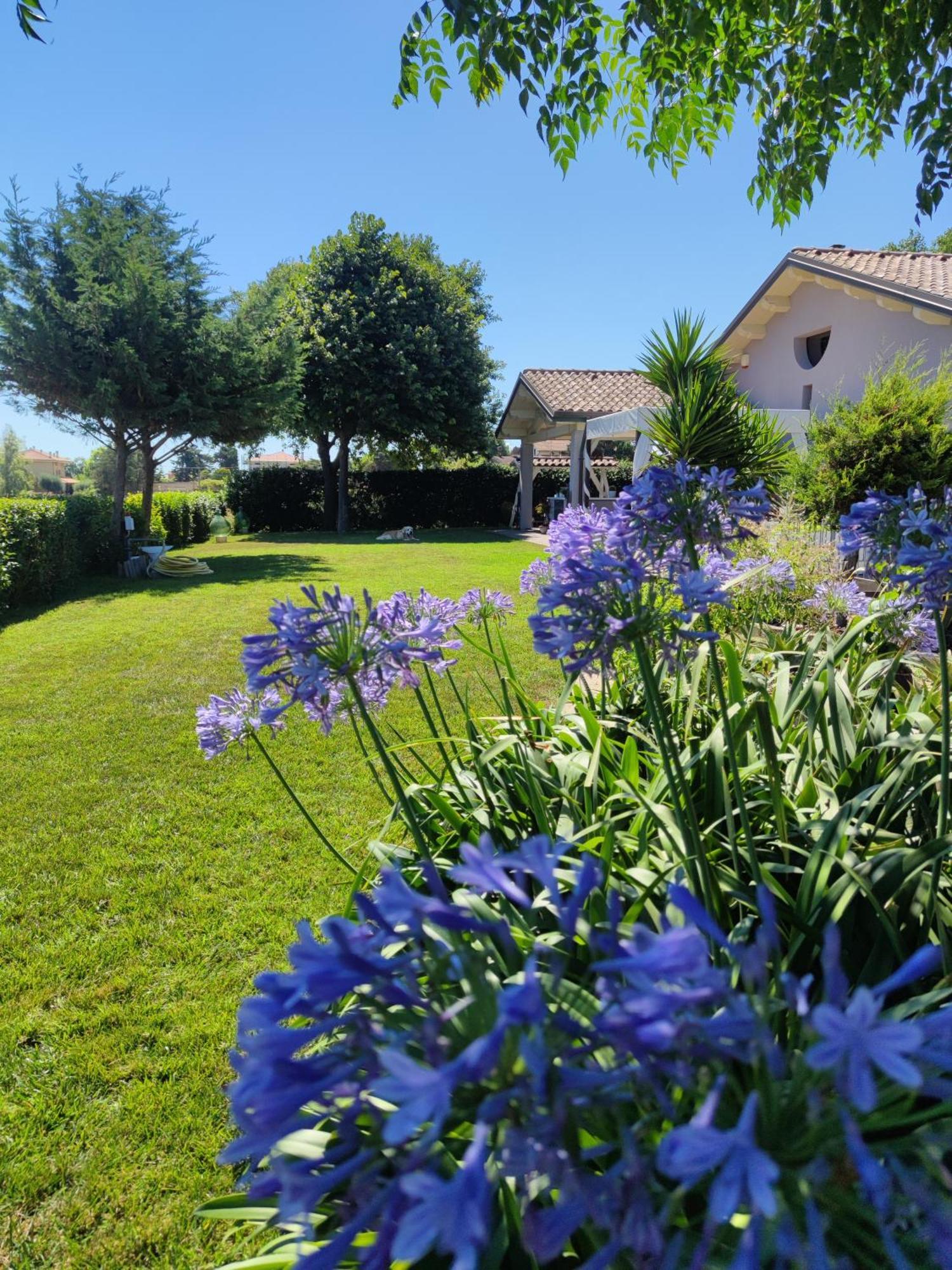 B&B Flavio e Catia Marotta Exterior foto